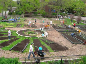 community garden